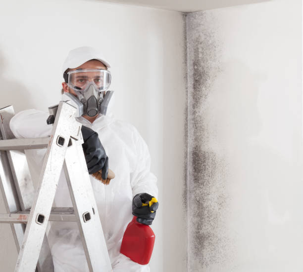 istock Professional mold removal service: Worker on ladder wearing protective suit, gloves, glasses and respirator mask. Holding spray bottle product for Cleaning moldy wall before room painting work. 2159351470