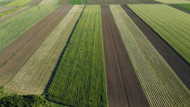 istock Colorful of nature fields 2159351808