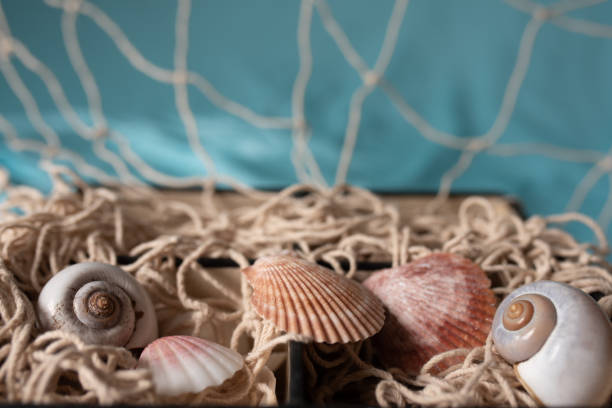 sea abstract blue background with a part of shell