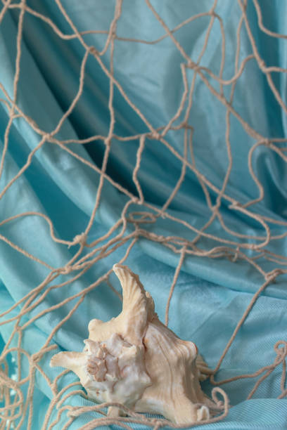 sea abstract blue background with a part of shell