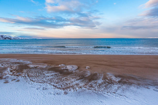Barents Sea or Arctic Ocean Shore. Kola Peninsula winter landscape