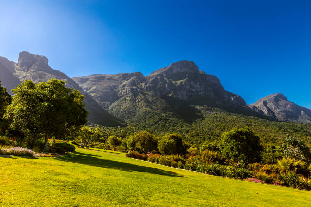 istock Kirstenbosch, Cape Town 2159363575