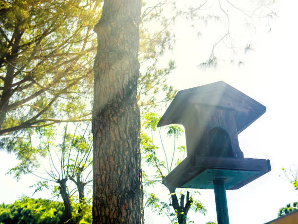 Close up birdhouse