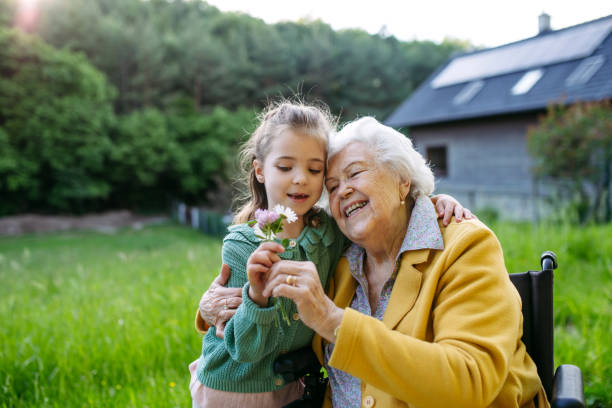 granddaughter spending time with elderly grandma, picking wildflowers. senior lady in wheelchair spending time in nature. - neto imagens e fotografias de stock