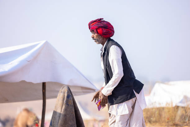 Pushkar, Rajasthan, India - November 2023: Pushkar Fair, Portrait of an old male collecting camel dung from ground along with his camels at pushkar camel fair.