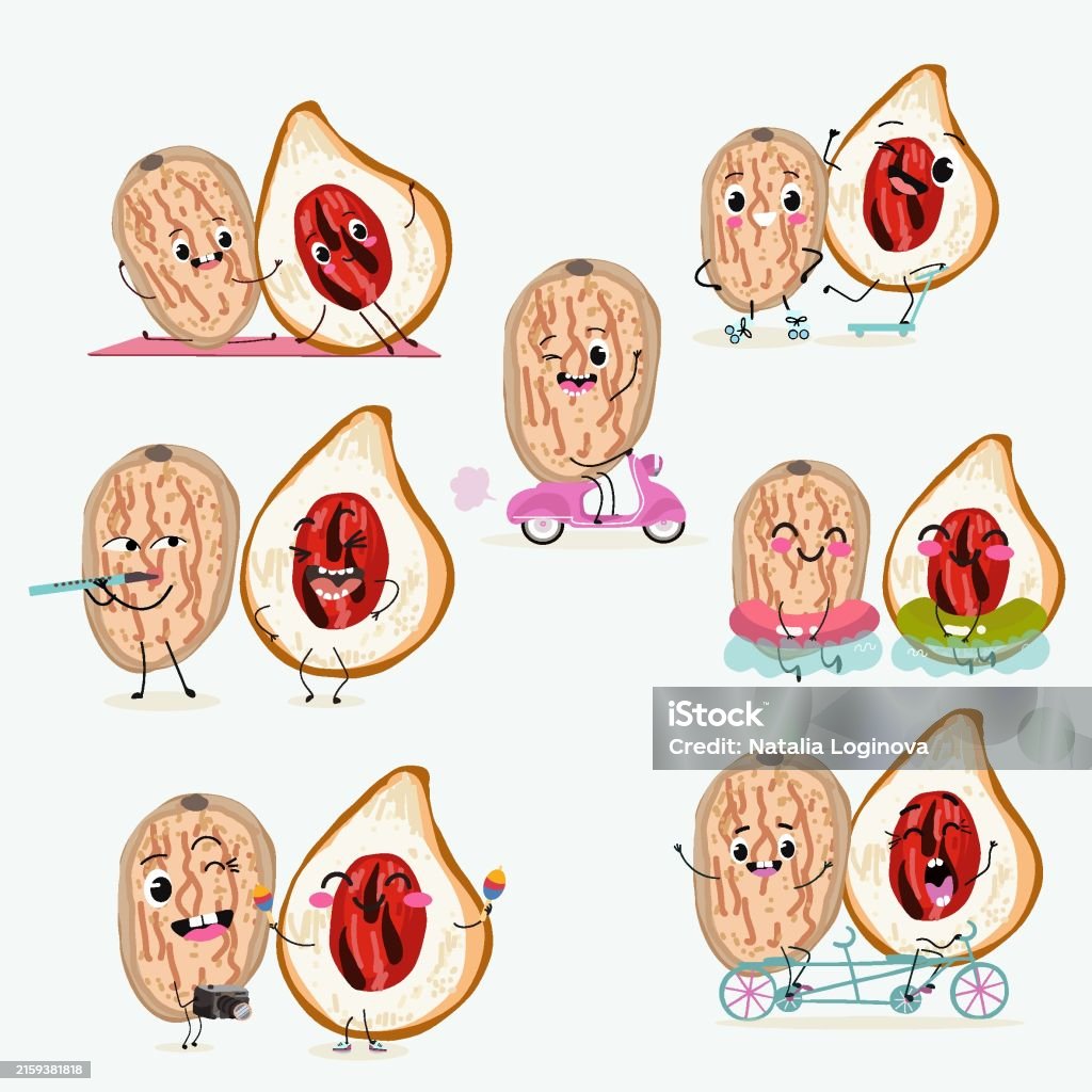 Meg Playing Instruments Cute Nut Meg Characters Set Collection Flat Vector Illustration ...