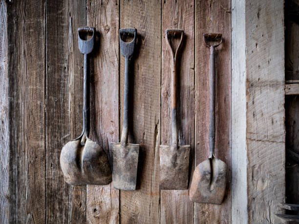 Old Shovels Hanging on Barn Wall