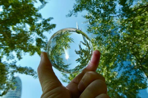 istock Crystal ball against skyscraper and trees 2159383741