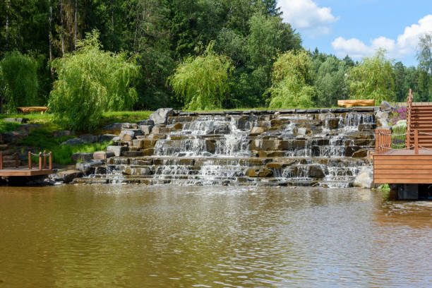 Stream water flowing over rock formations into a tranquil pool surrounded by greenery