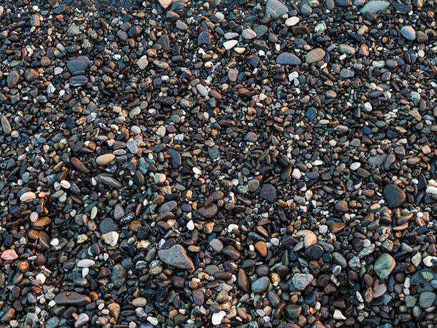 istock pebble beach texture - wet small stones on the sea 2159389545