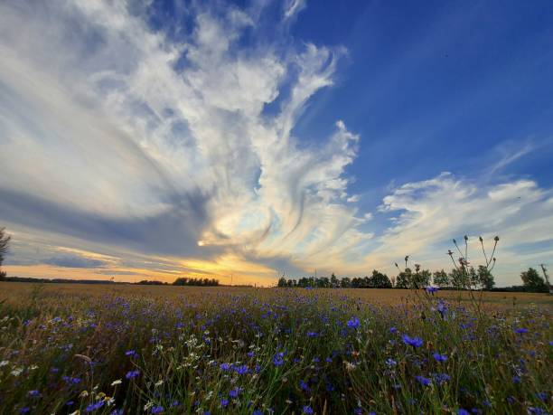 istock The magic of the countryside at sunset 2159390587