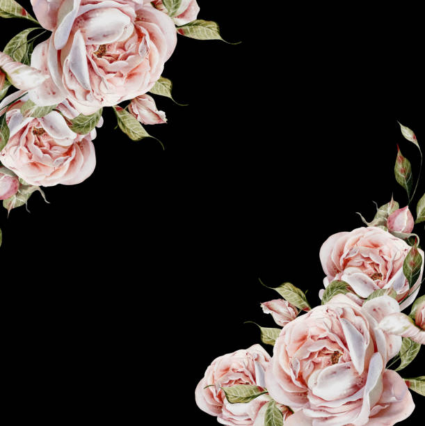 istock Watercolor wedding card with roses flowers and leaves. 2159398327