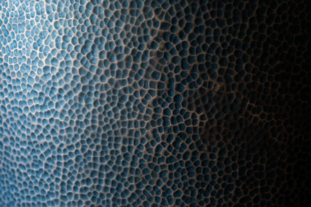 Close-up of a textured blue surface with a pattern resembling reptile skin or scales.