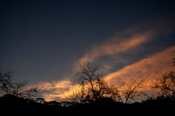 backlight with silhouette of hill and trees in the sunset of the Latin American mountain