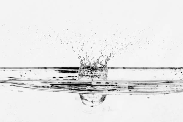 Freezed water drops and splashes. Macro Photo