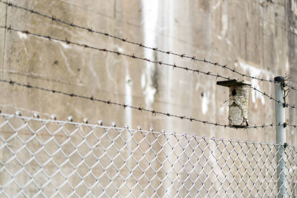 istock weathered concrete wall with overgrown barbed wire fence 2159403016