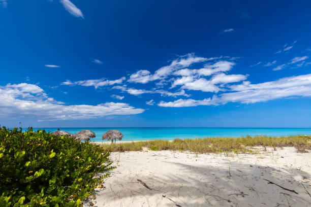 istock Beautiful sandy beach on a sunny day in Cuba 2159404152