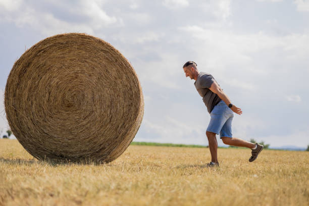 istock A man pushes a stack of hay in a field 2159408717
