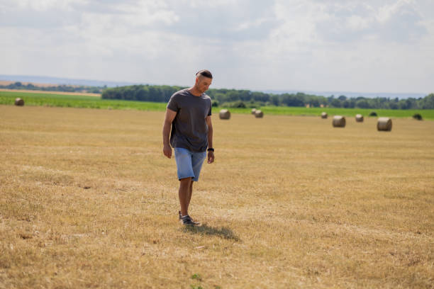 Field with ripe wheat in August before harvest.