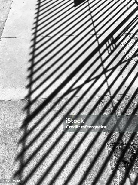 Shadow Grid Shadow Background Shadow Effect Grid Shadow Shadow On The Floor Black ...