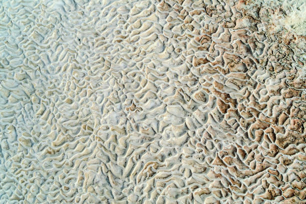 traces and grooves in sandstone