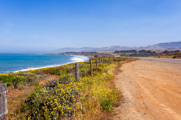 Beautiful view of the Pacific Ocean coast in Cambria area in California