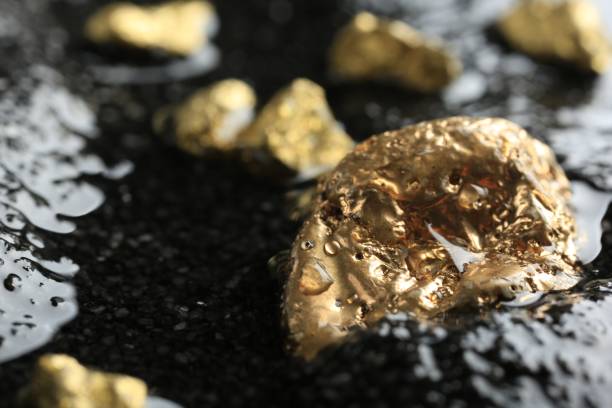 istock Shiny gold nuggets on wet stones, closeup 2159425599