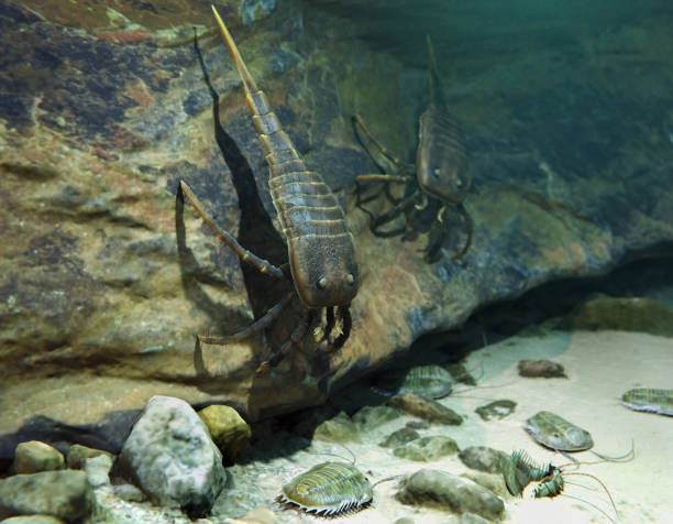 istock Kokomopterus Eurypterids On A Seafloor Hunting Trilobites Scene 2159428834