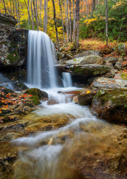 Waterfall amongst autumn foliage in the Blue Ridge Mountains of North Carolina