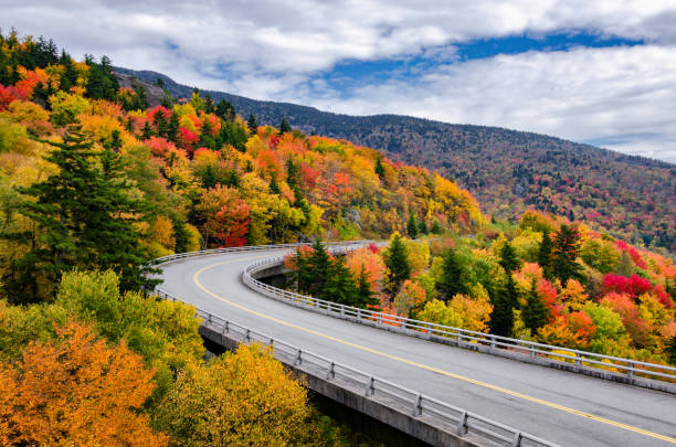 istock Fall colors along the Blue Ridge Parkway in North Carolina 2159440195
