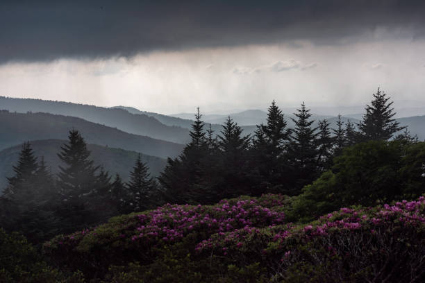 Passing summer storm Appalachian Mountains, Roan Mountain Tennessee