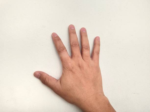 Hands holding in different poses, showing finger, thumb. Symbol signals, pointing finger, cell phone, water bottle, holding arm, back hand with short fingernails, isolated on white background and hand health care concept