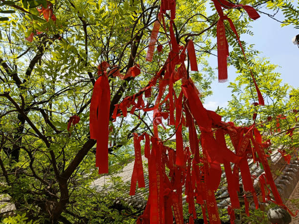 istock China, Luoyang, Shaolin Temple, on the territory of the monastery 2159444546