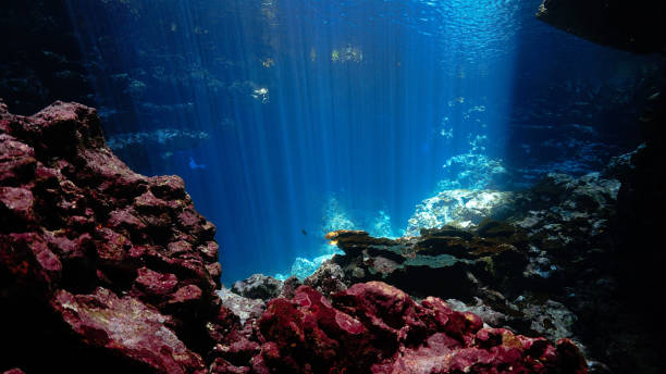 istock Rays of light inside a cave in the deep blue ocean 2159449780