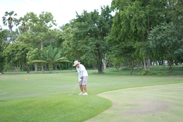 Green golf course on a sunny day with trees and a blue sky background. Sport or natural background