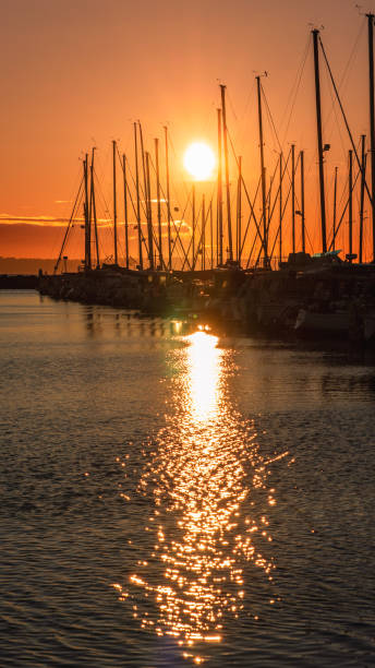 istock Ships at pier at sunset 2159450418