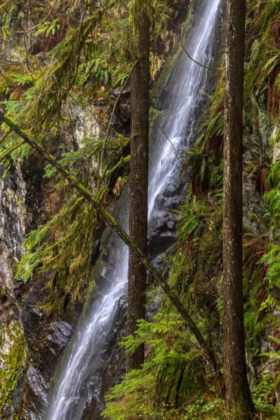 istock creek falls in a mountain, North Vancouver, BC, Canada 2159452689