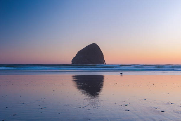 A peaceful and calming scene as the sun sets over the Pacific Ocean on the Oregon Coast in summer time. Vacation, road trip and landscape concepts.