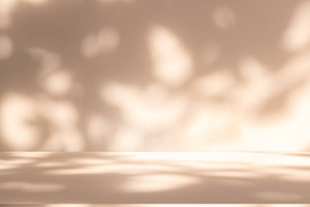 istock Wall interior background, studio and backdrops show products.with shadow leaf from window color white and beige . background for text insertion and presentation product 2159454033