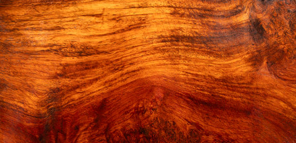 istock Natural Afzelia burl wood stripe is a wooden pattern 2159457880