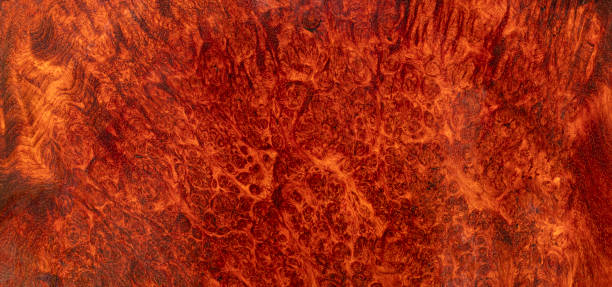 istock Natural Afzelia burl wood stripe is a wooden pattern 2159457883