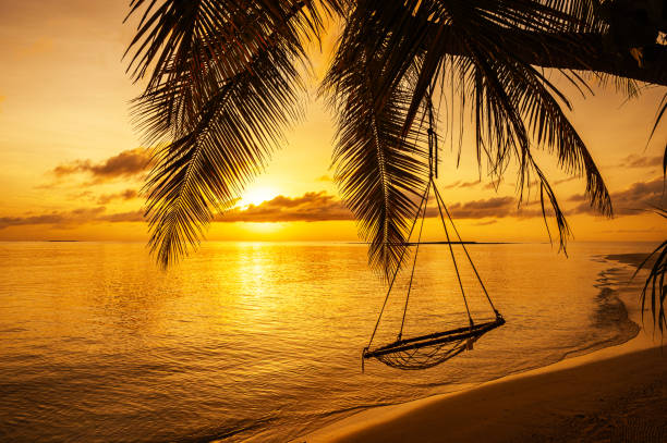 istock Silhouette palm tree with sunset on the tropical paradise beach 2159458819