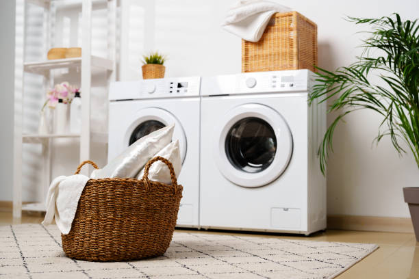 istock Modern Laundry Room With White Appliances and Greenery 2159464078