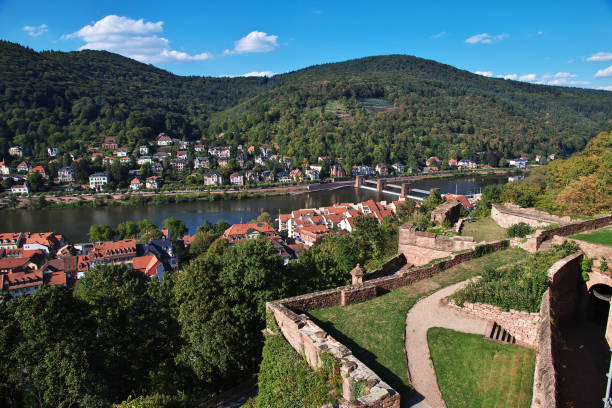 istock The view on Heidelberg, Germany 2159464223