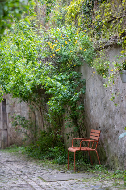 istock Picturesque paved green alley. 2159468488