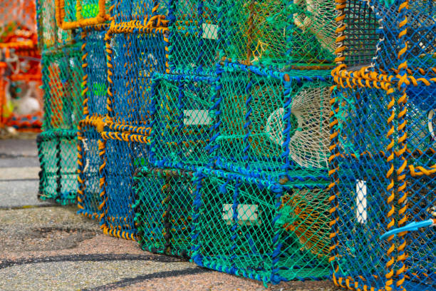 istock Lobster crates stored on land.. 2159469100