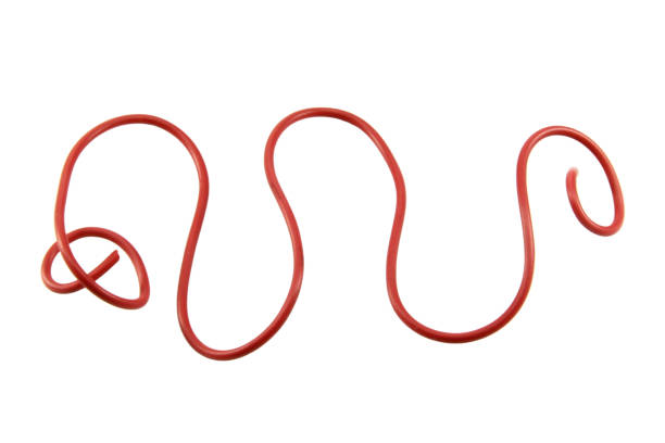 istock Wire cable of usb and adapter isolated on white background.Electronic Connector.Selection focus and with clipping path. 2159480522