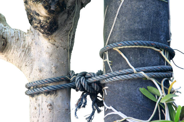 Thick white ropes at the harbour