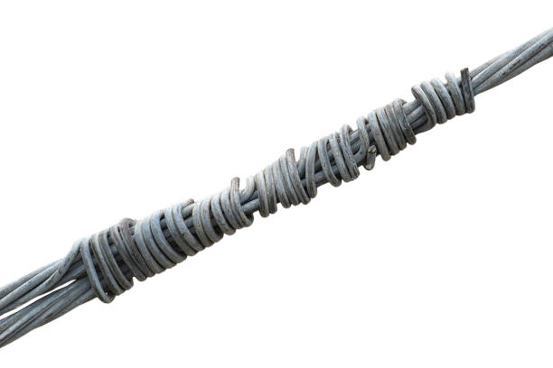 Several long wires attached to a large light pole isolated on white background with clipping path.