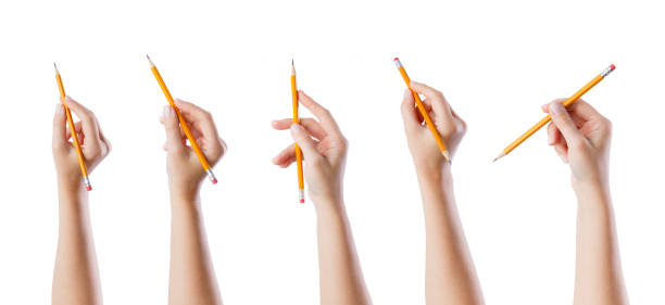 istock Woman's hands holding yellow pencils 2159483866